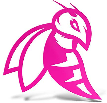 ERREINGE x2 STICKER PRESPAZIATO ROSA FLUO 12cm - APE VESPA DX - Adesivo Decal Decalcomania Vinile Murale Laptop Auto Moto Casco Camper