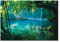 WallArena - Vlies Fototapete Wasserfall Wald Grün Natur Dschungel Landschaft 254x184 cm - Fototapeten - Tapeten - für Wohnzimmer Schlafzimmer - Vliestapete Wandtapete Tapete 3D Effekt- inkl. Kleister