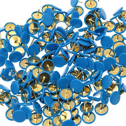 BININBOX 300 PCS Reißnägel Kunststoff Rundkopf für Home School Reißzwecken (Blau)
