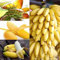 Rotyroya 100 Stück Mini-Bananenbaum-Samen, köstliche Früchte, Garten, Hof, Balkon, Bonsai-Pflanze Mini-Bananenbaumsamen