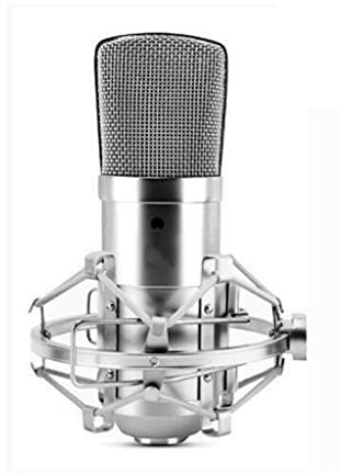 MSUDGH Microfono a condensatore BM800 Microfono professionale per registrazione Creazione di musica Microfono per radiodiffusione e studio