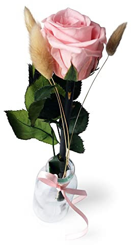 Konservierte Rose mit Vase - Echte ewige Rose mind. 3 Jahre haltbar – kurze Rose mit Stiel Höhe 26 cm - stilvolle Dekoration mit Infinity Rose - Geschenk für jeden Anlass - Made in Germany (Rosa)