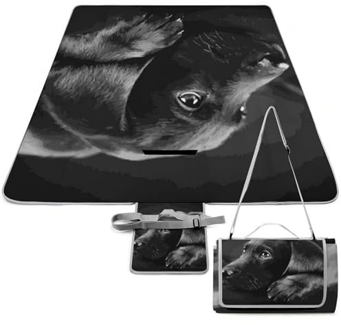 Cmagnifico Picknickmatte, schwarzer Labrador, Welpe, quadratisch, Picknickdecke, Outdoor-Teppich, 148 x 148 cm