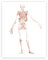 Herz Stethoskop EKG Blume medizinische Poster und Drucke Kardiologe Büro Wandkunst Bilder Leinwand Gemälde Dekor Arzt Geschenk(PC8366,30x40 cm No Frame)