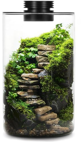 Tisch-Terrarium aus Glas mit Wachstumslicht – Sukkulentenmoos, Miniatur-Gartenlandschaft, Aquarium, Innenpflanzenwachstum, Büro, Heimdekoration, Pflanzenliebhaber, Geschenke