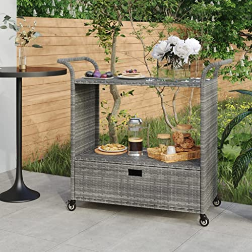 Lauuoeriau Haus & Garten, Möbel-Barwagen mit Schublade, grau, 100 x 45 x 97 cm, Polyrattan