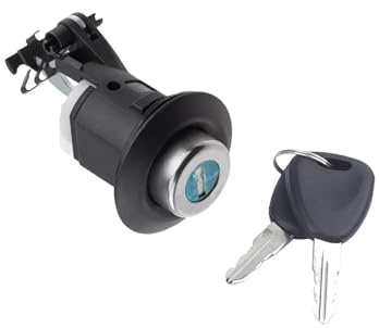Vibsky Serrure de coffre de porte arrière avec 2 clés, numéro de pièce 905020198, remplacement direct pour Dacia Logan (2008-2013), Sandero (2008-2012), Duster, Renault Symbol et Joy