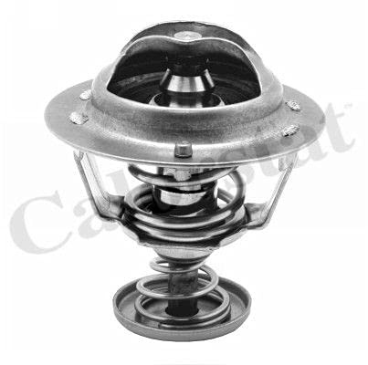 COLORSTAT TH6295.71J Termost.Renault Pierburg