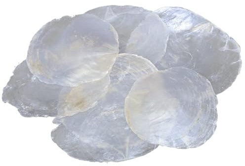 RiloStore 100 STK Perlmutt Scheiben Capizscheiben 5-7cm Perlmuttscheiben Natur Weiss TISCHKARTEN Namenskarten Muschelscheiben Capiz runde Perlmuttplatten Maritime Deko Muscheln