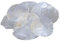 RiloStore 100 STK Perlmutt Scheiben Capizscheiben 5-7cm Perlmuttscheiben Natur Weiss TISCHKARTEN Namenskarten Muschelscheiben Capiz runde Perlmuttplatten Maritime Deko Muscheln