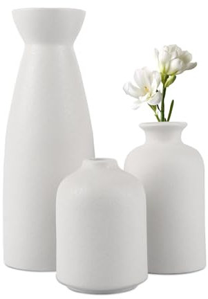 YAYODS Set di 3 vasi bianchi in ceramica – piccoli vasi decorativi per erba della pampa – Vaso moderno per tulipani, bouquet, fiori, rosa, fiori secchi, decorazione per la casa, decorazione da tavolo