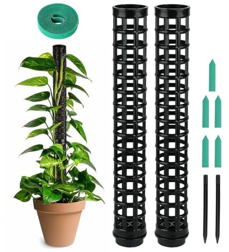 OFFCUP Moosstab Pflanzstab, 2pcs Monstera Rankhilfe, Monstera mit 5 Etiketten und 1 Rollen Klettverschluss, Rankhilfe für Zimmerpflanzen 50cm, für Gartenbepflanzung Efeutute Pflanzenunterstützung