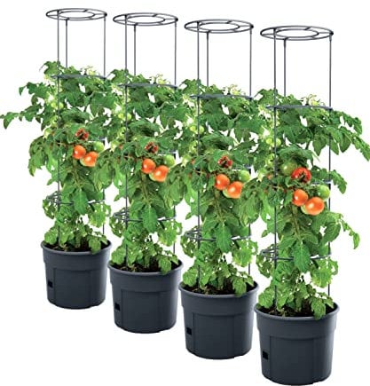 PAFEN 4X Tomatenpflanze Pflanzkübel 18l – 345 x 1270 mm - Tomato Grower Pflanzen Tomate Garten Terrasse