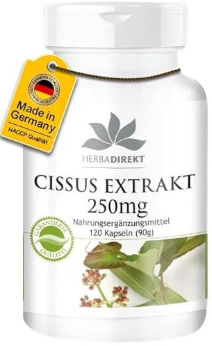 Cissus Kapseln - Cissus Quadrangularis Extrakt 250mg - 20% Ketosterone - 120 Kapseln | HERBADIREKT by Warnke Vitalstoffe - Deutsche Apothekenqualität
