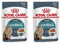 Royal Canin Hairball Care Gravy | Doppelpack | 2 x 12 x 85 g | Nassfutter für ausgewachsene Katzen | Zur Unterstützung Einer verringerten Haarballenbildung | Stückchen in Soße