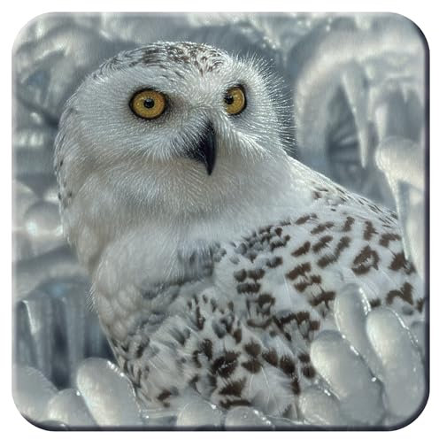 3D LiveLife Cork Coaster - Snowy Owl Sanctuary from Deluxebase. Lenticular 3D Cork Own Coaster. Non-slip drinks mat with original artwork licensed from renowned artist, Collin Bogle