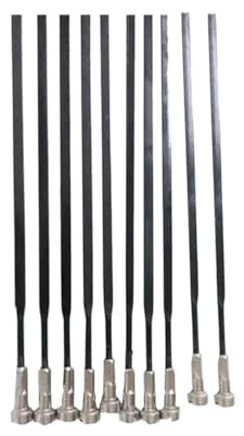 10 x Speichen passend für MAVIC CR AK EQ Laufradsatz, gerade, flache Speichen mit Speichenkappe, Edelstahl-Speichen (282 mm, 10 Stück)