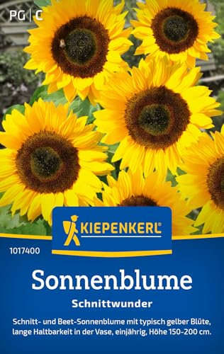 Kiepenkerl Sonnenblumensamen Schnittwunder 1017400 - Blumensamen für eine Schnitt- und Beet- Sonnenblume mit Inhalt für 10 Pflanzen - Saatgut, Blumenwiese