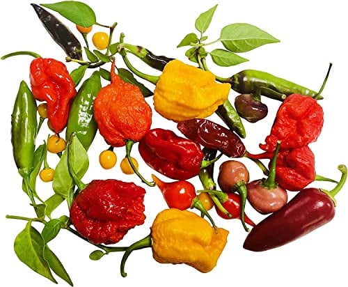 Weltrekord Chili Samen Set, 7 Sorten, 65 Samen, Extrem Scharf,