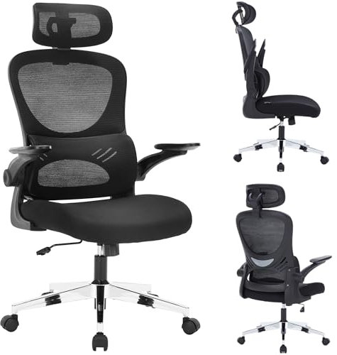 Nyxi Office Chair Ergonomic Computer Desk, Work & Study Chair, Executive High Mesh Back, Foldable 3D Armrests, Lumbar Support, Adjustable Headrest, Swivel, Silver Metal Base (Black, Model 768)