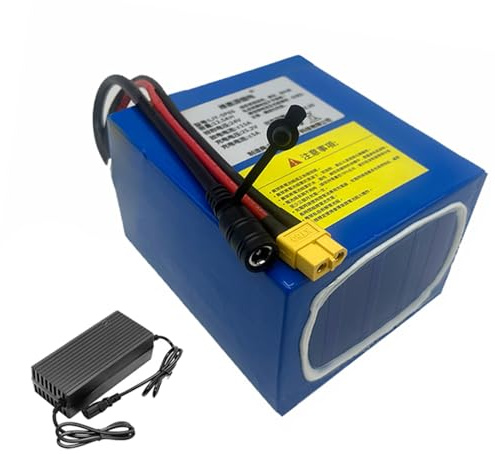 JCXYL EV 24V 6S Lithium Batteries Pack 24V Rechargeable Lithium Battery 25.2V Long Lasting Outdoor Power Battery with Charger for Fishing Net Towing Boat Motor,24V 25Ah