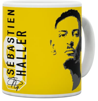 Borussia Dortmund BVB Tasse Spieler Haller Fanartikel