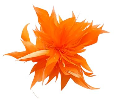 Brosche Anstecknadel Blume Feder Kleidung Geburtstag Geschenk (Orange)