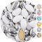 EinsSein 1kg dragées mariage amandes Conchiglia Mix blanc-argent mat métallique| dragees baptême, communion, célébrer, fête, candybar | Cadeaux pour les invités mariage | Bonbon aux Amande