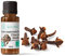 Huile Essentielle Bio Clou de Girofle 10ml