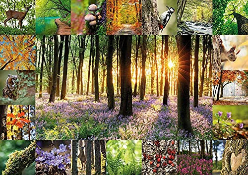 Starnberger Spiele - Waldbaden Puzzle - 1000 Teile - Für Kinder und Erwachsene - Geschenk für Natur- und Waldliebhaber