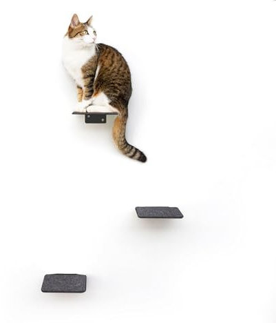 LucyBalu® STEPS Katzentreppe Wand Innen & Außen 3er Set | Katzen Kletterwand | Wandpark für Katzen bis 7kg | Katzenleiter | Anti-Rutsch Beschichtung | 3 Stufen | Wandbefestigung | 18 x 18 cm Anthrazit