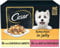 CESAR Pouch Selection in Jelly, Fresh Adult Wet Dog Food Pouches in Delicious Jelly with Succulent Meats and Vegetables, 48 x 100 g