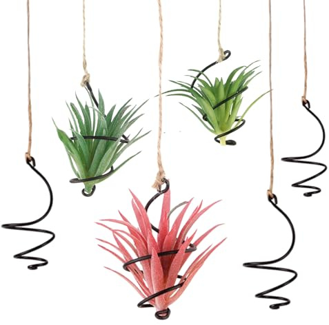 Muorruo Set di 6 Porta Piante ad Aria Sospese, Supporto per Piante ad Aria con Corde di Juta, Porta Piante Senza Terriccio, Contenitore per Presentazione di Tillandsie e Succulente per Casa e