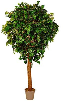 Eichen Kunstbaum 240cm mit dickem Stamm und 3150 Blätter mit UV Schutz