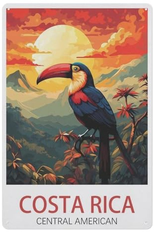 PGCKSK Sonnenuntergang in Costa Rica，Vintage Blechschild, Metallschild, Poster für Bar, Café, Schule(30x40cm 12x16 inch-Z79