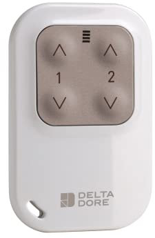 Delta Dore Télécommande porte-clés Tyxia 1400 pour commande de 2 voies d’éclairage ou volets – Ouvrant | Eclairage | Télécommande - 6351388