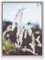 rahmengalerie24 Schattenfugenrahmen 50x80 cm Alu, für Keilrahmenbilder und Leinwände, Rahmen ohne Glas