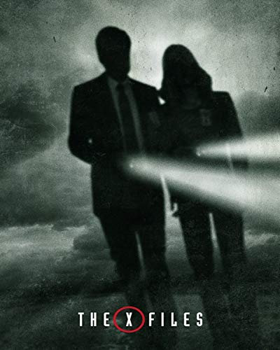 The X-Files Poster 30 x 40 cm