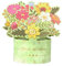 scicent Geldgeschenke Geburtstag Pop Up Karte Blumen 3D Blumenstrauß Pop Up Karten Klappkarte mit Umschlag Pop-Up Blumenkarte 3D Blumenkarten für Freundin Frau Mutter oder Großmutter - 29908