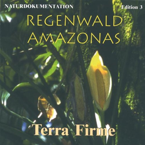 Regenwald Amazonas-Terra Firme