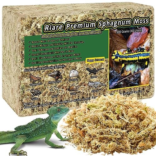 Riare Mousse de sphaigne Naturelle séchée pour Terrarium, Grenouilles, Serpent, Tourbe pour léopard, Gecko, Tortue, Anoles, salamandres, orchidées, 500g