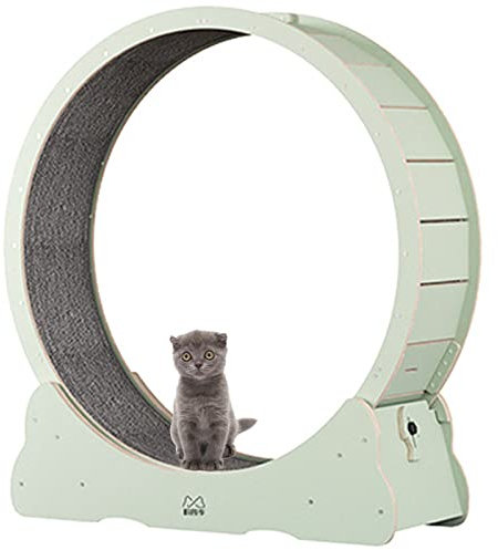 BLANKX Katzenlaufrad für Wohnungskatzen, Leises Kleines Mittelgroßes Laufrad für Katzen, Kleine Lücke Haustier Katze Laufrad Spielzeug mit Bremse,XL-Green