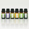 Earnest Living Tea Tree Peppermint Lavender Essential Oil Set for Diffusers for Home Oil Diffuser Essential Oils Eucalyptus Essential Oil