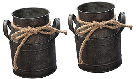 AOKWAWALIY 2pcs Old Tin Flower Bucket Milk Jug Planter Metal Jug Vase Pitcher French Flower Bucket Vase Rustic Galvanized Vase French Bucket with Handle Milk Jug Decor Iron Household Display