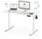 FLEXISPOT Höhenverstellbarer Schreibtisch Basic Plus 120x60cm mit Haken und Memory-Handsteuerung-Sitz-Stehpult für Büro & Home-Office (Weiß)