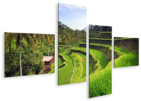 islandburner Bild auf Leinwand Terrasse Reisfelder Ubud Tegallalang Bali Indonesien Bilder Wandbilder Poster