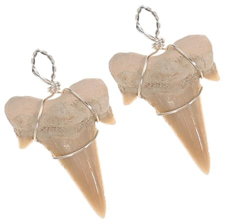 KOMBIUDA 2stücke Haifischzahn Anhänger Für Halsketten Mit Haifischzahn-dekor Halskettendekor Für Männer Und Geschenke Für Geburtstag Und Weihnachten