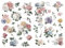 Joeyan Möbel Aufkleber, Floral Rub On Transfers für Kunsthandwerk, 2 Große Vintage Aquarell Rosen Design 43x30cm, DIY Home Decal auf Holz Glas Metall Leinwand Porzellan Papier Kunststoff, Rose Garten