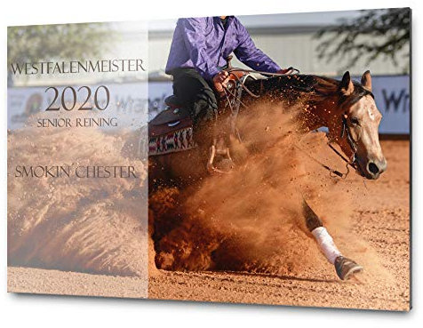 Pferdeschild Boxenschild mit Wunschtext und Bild | Alu Verbundplatte/AluDibond | 30x20 cm | sofort personalisierbar | inkl. Brandzeichen & Motiven