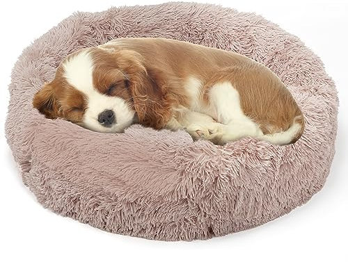 IuJ Hundebett Rund Hundekissen Hundesofa Katzenbett Donut L-70 cm, XL-80 cm, XXL-100cm, 3XL-120 cm (XL, Beige 80cm)